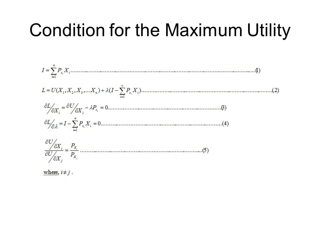 Condition for the Maximum Utility